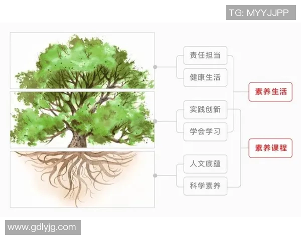 以教育为核心推动社会发展创新培养全面素质人才的策略与路径研究