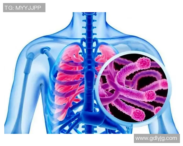 心肺功能对健康的影响与优化策略:提升体能与预防慢性病的关键因素 心肺功能对健康的影响与优化策略:提升体能与预防慢性病的关键因素