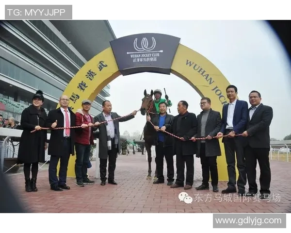 曼塔海豚对决麦德林国民竞技精彩视频回顾与分析