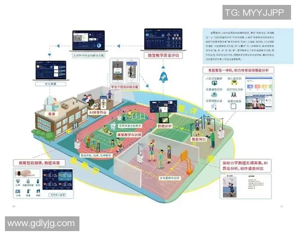 蛙泳技术与体能训练相结合提升速度的综合策略分析