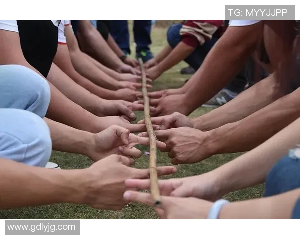 广州滑板队团队协作的创新与变革引发热议与关注