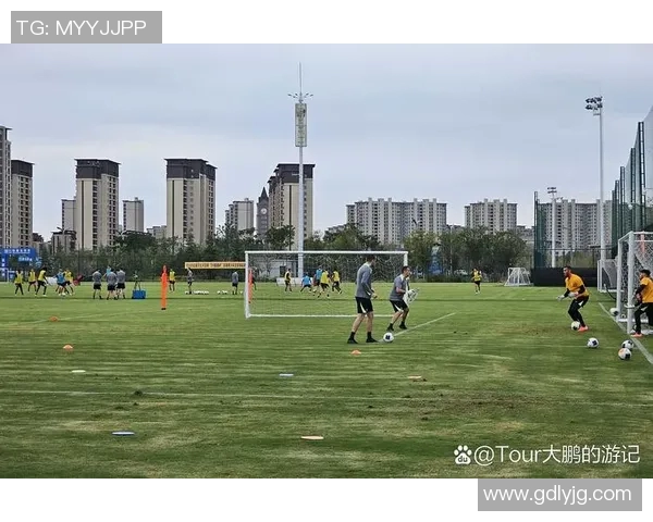 西安足球队近期状态全面解析与对比分析