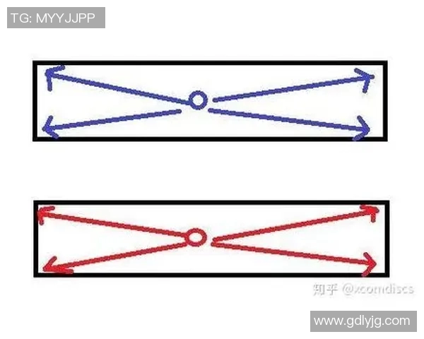 飞盘战术解析:上海飞盘队如何构建高效区域防守体系 飞盘战术解析:上海飞盘队如何构建高效区域防守体系