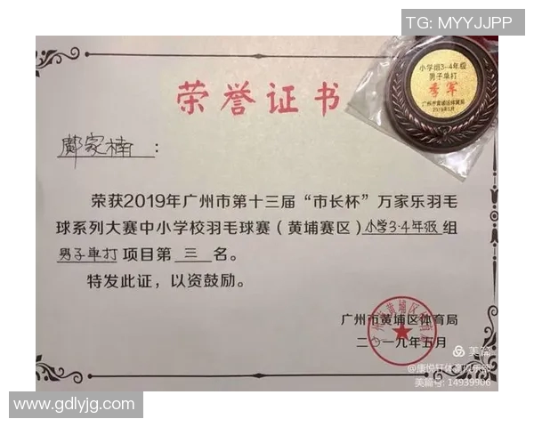 成都羽毛球队个人能力分析及其对比赛成绩的影响研究