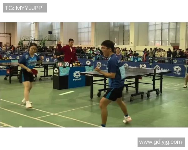 深入探讨上海乒乓球队耐力训练的差异与影响因素分析